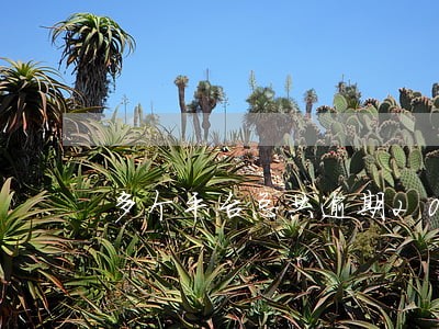 多个平台总共逾期20万 多个平台总共逾期20万