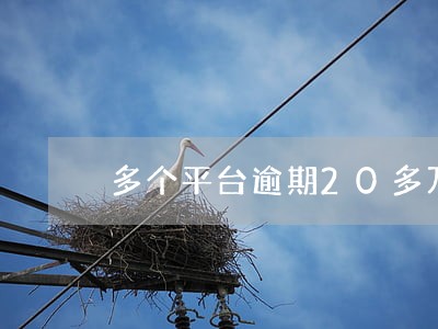 多个平台逾期20多万 多个平台逾期20多万