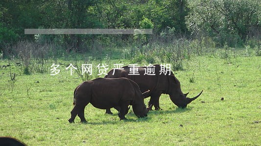 多个网贷严重逾期 多个网贷严重逾期