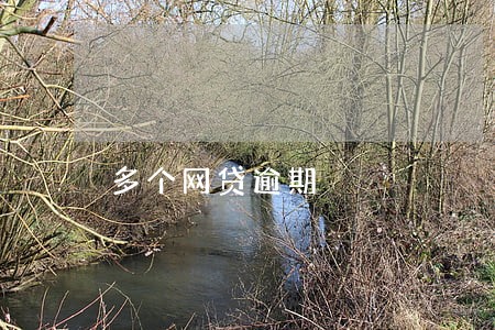 多个网贷逾期 多个网贷逾期