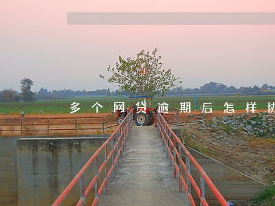 多个网贷逾期后怎样协商还款 多个网贷逾期后怎样协商还款