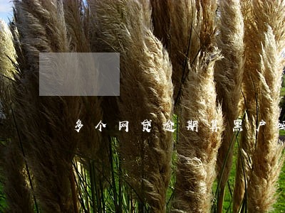 多个网贷逾期算黑户吗 多个网贷逾期算黑户吗