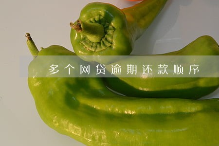 多个网贷逾期还款顺序 多个网贷逾期还款顺序