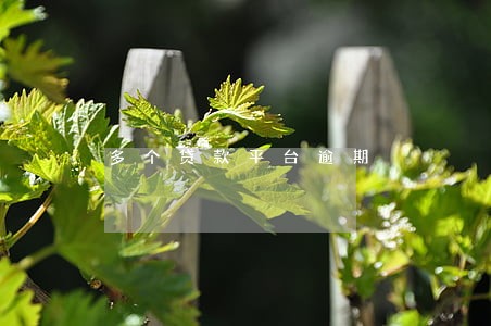 多个贷款平台逾期 多个贷款平台逾期