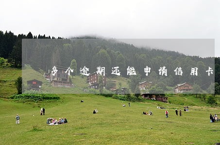 多个逾期还能申请信用卡吗 多个逾期还能申请信用卡吗