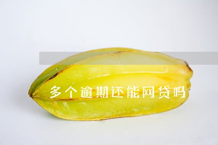 多个逾期还能网贷吗 多个逾期还能网贷吗