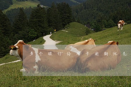 多个银行信用卡逾期优先还哪个 多个银行信用卡逾期优先还哪个