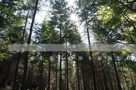 多个银行信用卡逾期怎样上岸 多个银行信用卡逾期怎样上岸