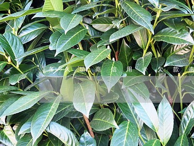 多久协商信用卡欠款逾期 多久协商信用卡欠款逾期