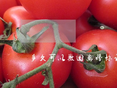 多久可以撤回离婚协议 多久可以撤回离婚协议