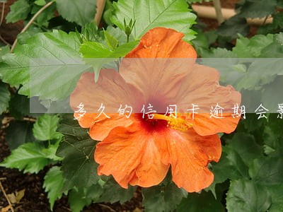 多久的信用卡逾期会影响贷款 多久的信用卡逾期会影响贷款