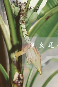 多久还信用卡算逾期 多久还信用卡算逾期