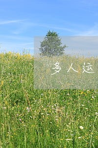 多人运动怕是违法 多人运动怕是违法