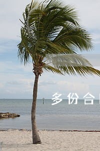 多份合同诉讼地不一致 多份合同诉讼地不一致