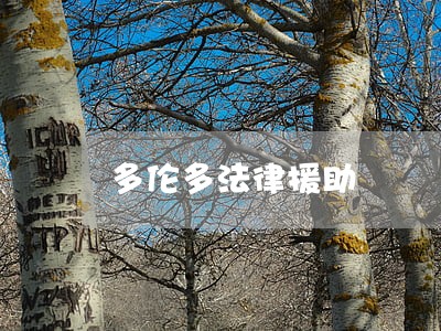 多伦多法律援助 多伦多法律援助