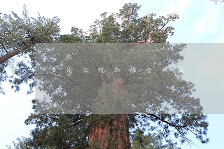 多伦法院加强合议庭 多伦法院加强合议庭