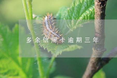 多余信用卡逾期三年 多余信用卡逾期三年