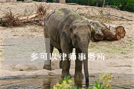 多可以律师事务所 多可以律师事务所