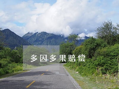 多因多果赔偿 多因多果赔偿