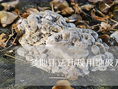多地违法违规用地破万亩 多地违法违规用地破万亩