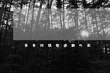 多多付钱包逾期5天