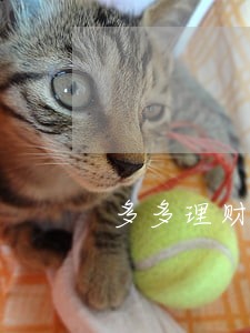 多多理财逾期怎么办 多多理财逾期怎么办