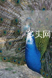 多头网贷逾期我一个电话也没接 多头网贷逾期我一个电话也没接