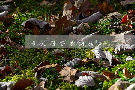 多头网贷逾期爆发 多头网贷逾期爆发