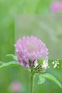 多头贷款逾期算诈骗吗 多头贷款逾期算诈骗吗