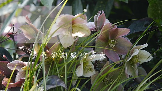 多头逾期银行多头 多头逾期银行多头