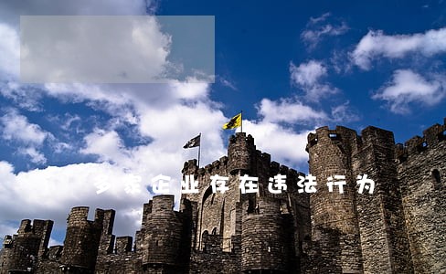 多家企业存在违法行为