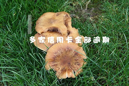 多家信用卡全部逾期