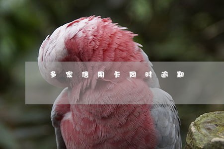 多家信用卡同时逾期 多家信用卡同时逾期