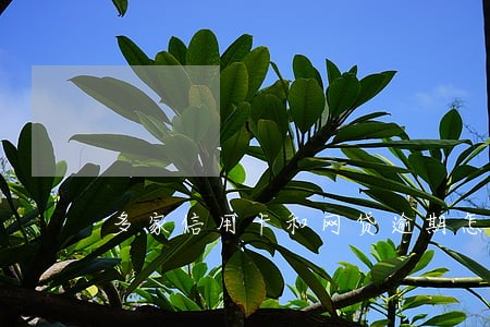多家信用卡和网贷逾期怎么处理 多家信用卡和网贷逾期怎么处理