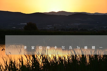 多家信用卡欠五万逾期一年 多家信用卡欠五万逾期一年