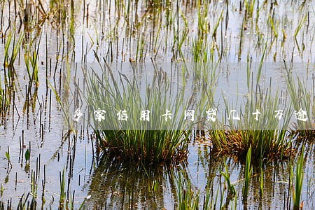 多家信用卡网贷几十万逾期 多家信用卡网贷几十万逾期