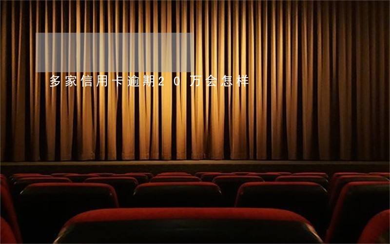 多家信用卡逾期20万会怎样