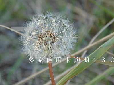 多家信用卡逾期43000 多家信用卡逾期43000