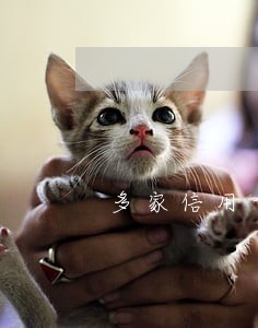 多家信用卡逾期4个月 多家信用卡逾期4个月