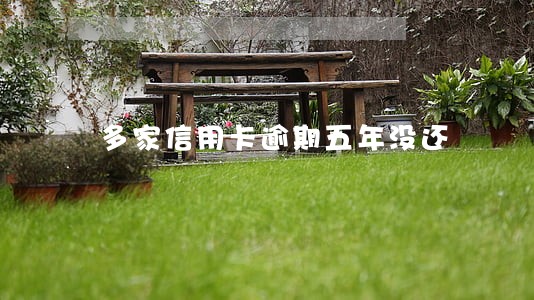 多家信用卡逾期五年没还