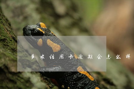 多家信用卡逾期会怎么样 多家信用卡逾期会怎么样