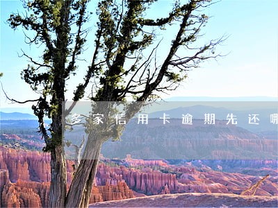 多家信用卡逾期先还哪家 多家信用卡逾期先还哪家