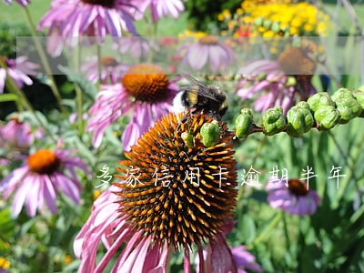 多家信用卡逾期半年 多家信用卡逾期半年