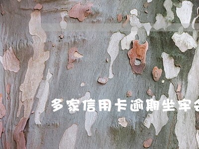 多家信用卡逾期坐牢会重判吗 多家信用卡逾期坐牢会重判吗