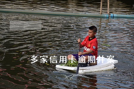 多家信用卡逾期并案 多家信用卡逾期并案