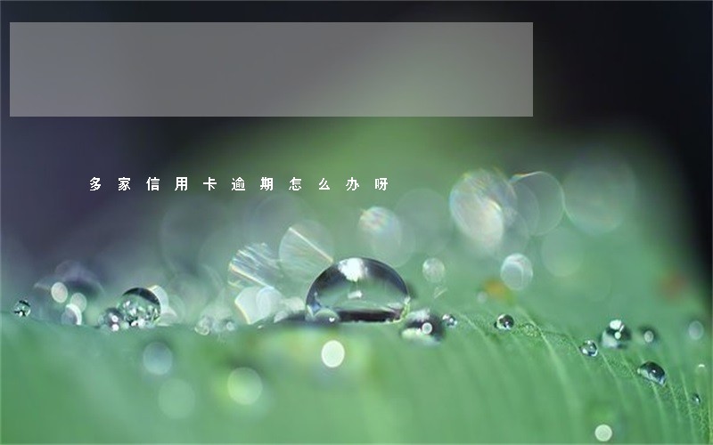 多家信用卡逾期怎么办呀 多家信用卡逾期怎么办呀