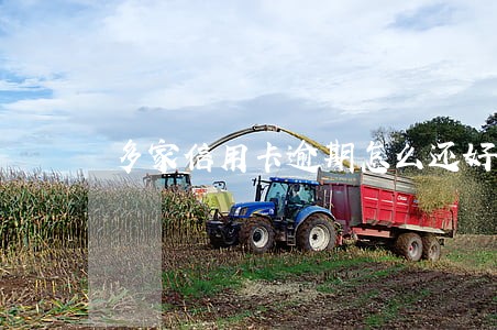 多家信用卡逾期怎么还好