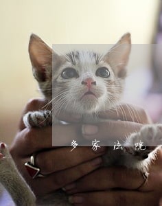 多家法院一起拍卖 多家法院一起拍卖