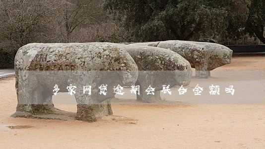 多家网贷逾期会联合金额吗 多家网贷逾期会联合金额吗