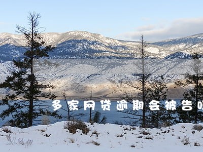 多家网贷逾期会被告吗 多家网贷逾期会被告吗